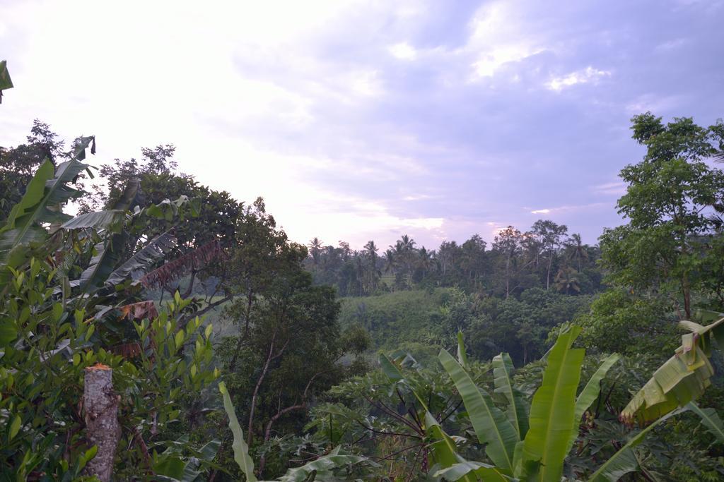 Pondok Bali Ubud Eksteriør bilde