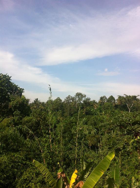 Pondok Bali Ubud Eksteriør bilde